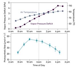 Air temperature, atmospheric vapor pressure deficit, and leaf photosynthetic rate in irrigated corn over the course of a day
