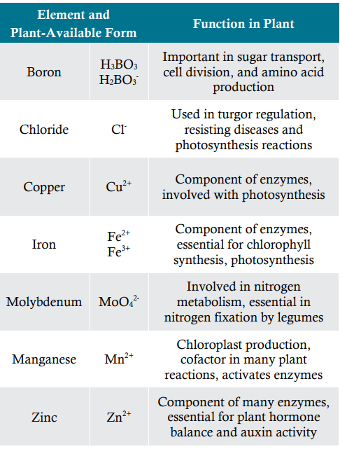 Plant available forms and functions of micro-nutrients in plants