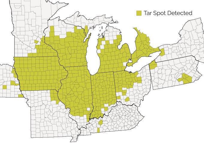 Counties with confirmed or suspected incidence of tar spot, as of October 2021.