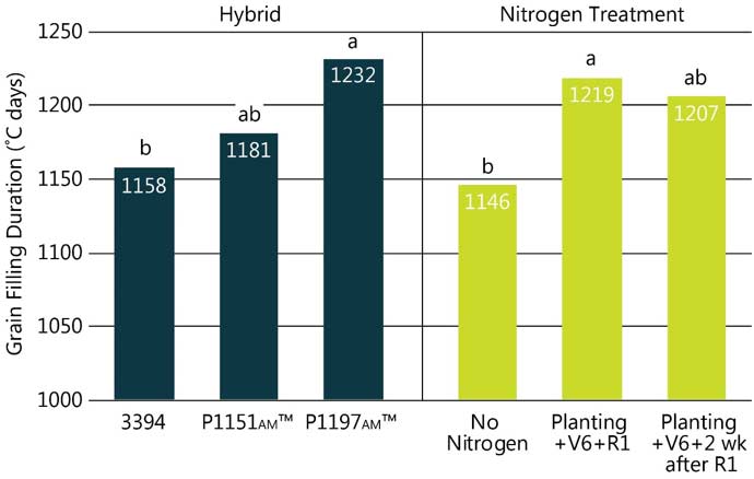 Table - Hybrid and nitrogen treatment effects on corn grain fill duration.