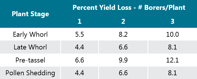 This is a table showing yield losses caused by ECB for various corn stages.