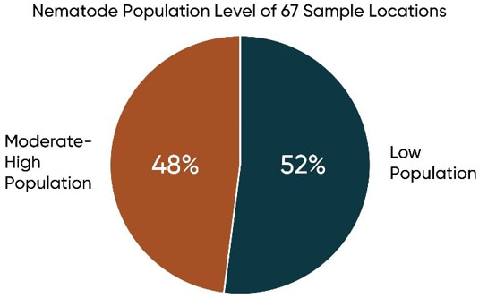 Chart showing proportion of locations sampled in 2018 with low nematode populations and moderate to high populations.