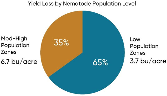Chart showing corn yield loss in evaluation zones with moderate to high nematode population levels and low population levels.