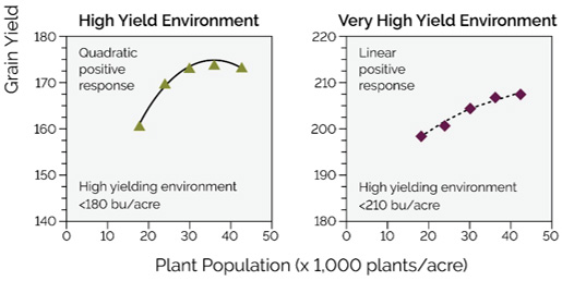 Corn hybrid response to plant population under four yield environments.