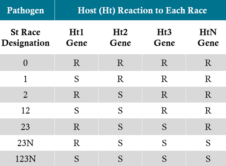 Table - Common sources of resistance Ht genes.