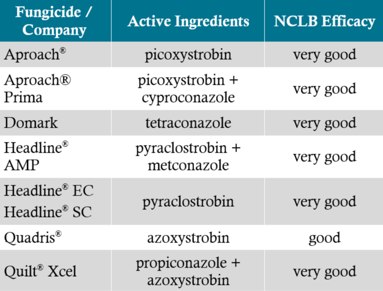 Table - Common corn foliar fungicides and efficacy against NCLB.