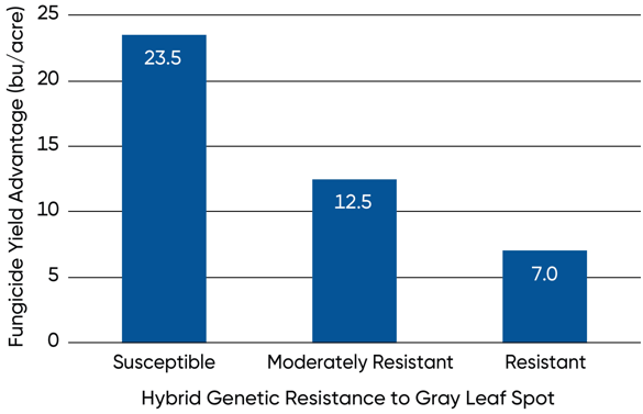 Bar Chart - Average yield response of hybrids susceptible, moderately resistant, and resistant to gray leaf spot to foliar fungicide application.