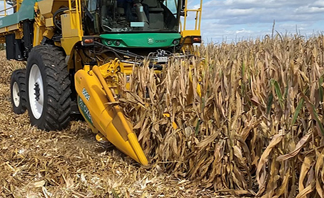 A research trial of Corteva Agriscience reduced-stature corn being harvested with a plot combine