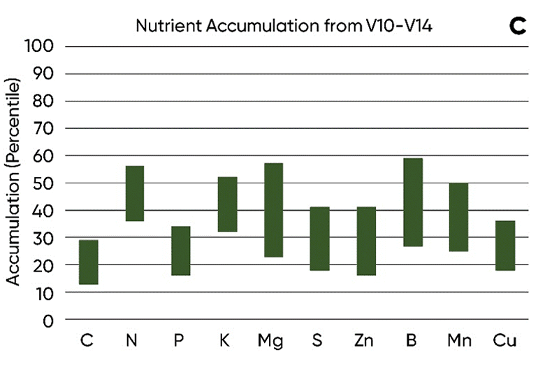 Chart - Relative amounts of nutrients acquired by the corn plant at different growth stages - V10-V14