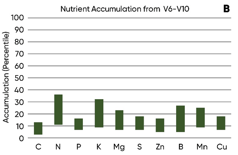 Chart - Relative amounts of nutrients acquired by the corn plant at different growth stages - V6-V10