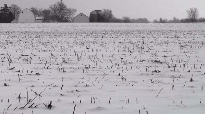 Photo - Snow covered field - insulating soil from extreme temperatures.