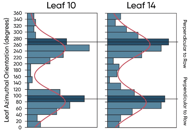 Distribution of azimuthal orientation for leaf 2, leaf 6, leaf 10, and leaf 14 averaged across corn products and population densities in a Pioneer field study.