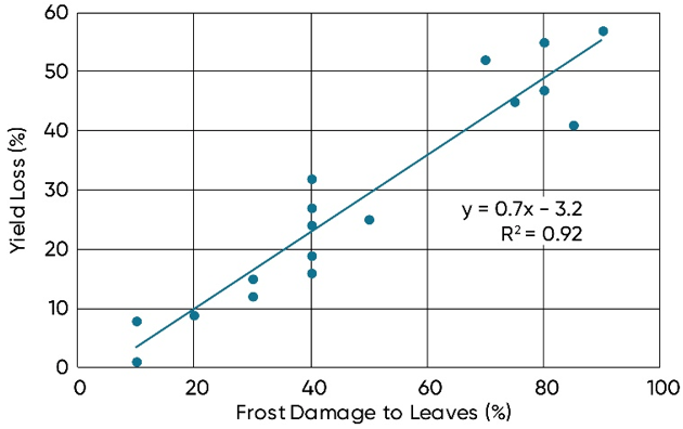 Line Graph - Yield loss for corn when frost damage occurs at the 7 to 10 leaf collar stage of maturity.