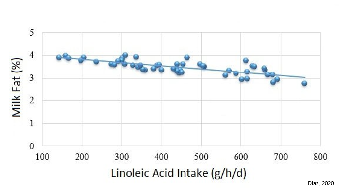 Linolenic Acid Intake