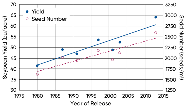 Graph - Yield and seed number of soybean varieties by year of commercial release.