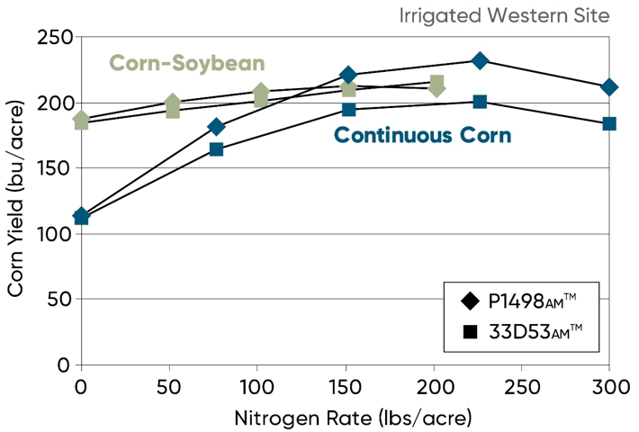 Response of Pioneer P1498AM and P33D53AM to nitrogen rates under continuous corn and corn-soybean rotation - western irrigated site in 2012 2013 and 2014 - York NE