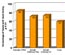 Consistency Ratings - 2007 Corn Rootworm Systems Trials 