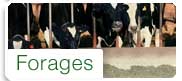 Forages