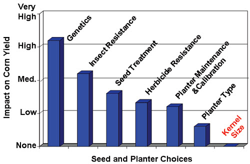 Sunflower Seed Size Chart