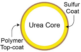 Sulfur + Polymer-Coated Urea