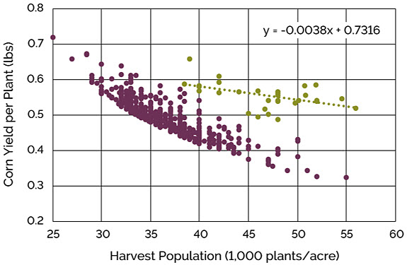 Corn Yield Chart