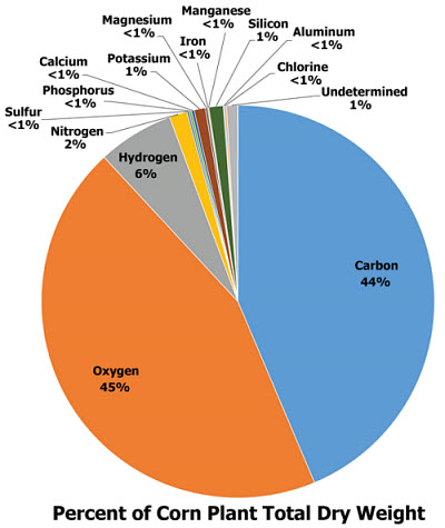 Corn Nutrient Uptake Chart