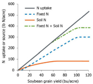 effect of N uptake or source on soybean grain yield