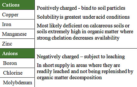 Chemical properties of micronutrients.