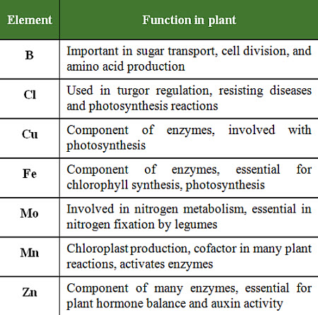 Functions of micronutrients in plants