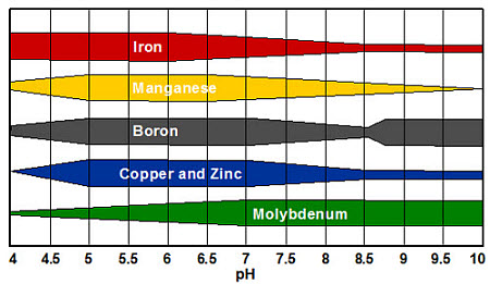 Relative availability of micronutrients by soil pH.