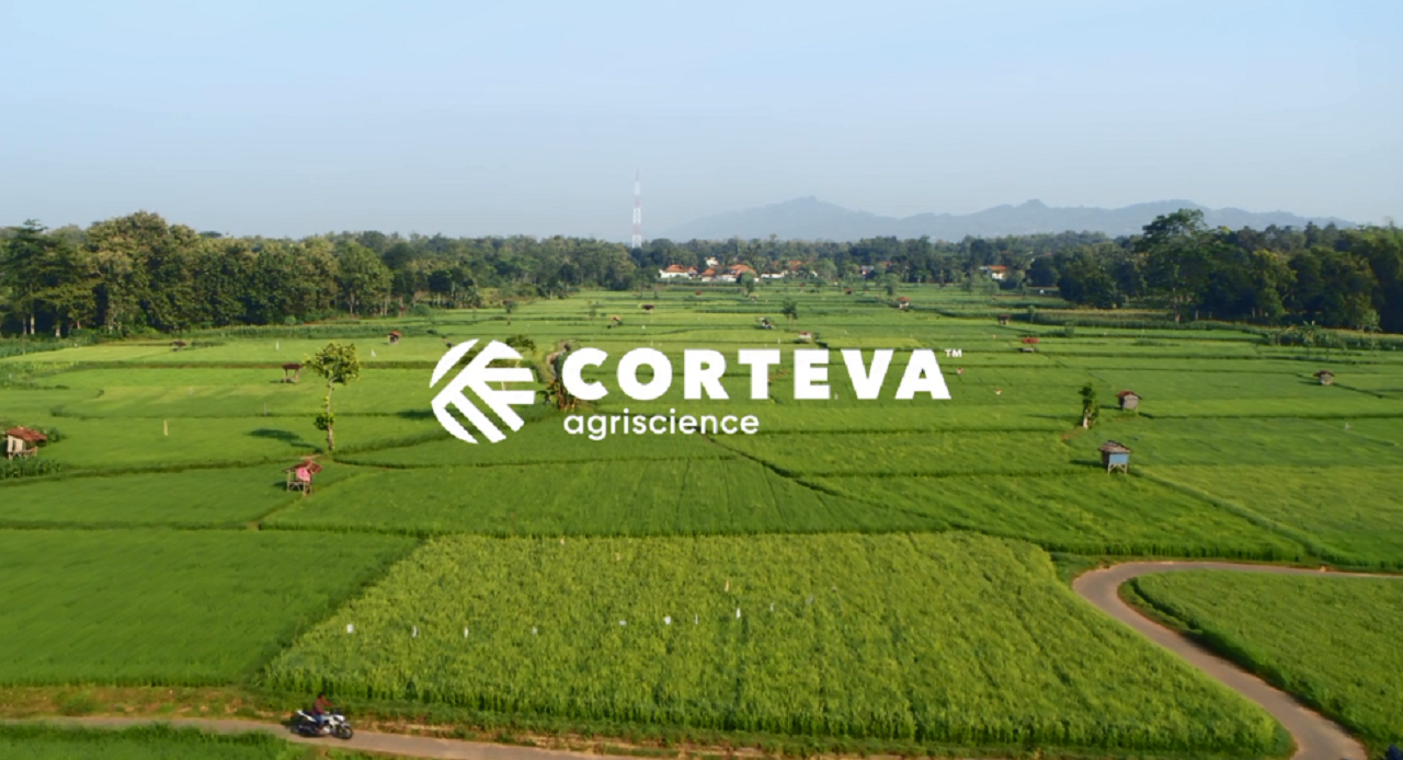 Dokumentasi Petani