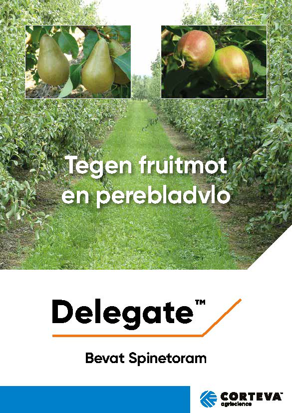 IMG-Brochure-Delegate-2022-EU-BE-V2