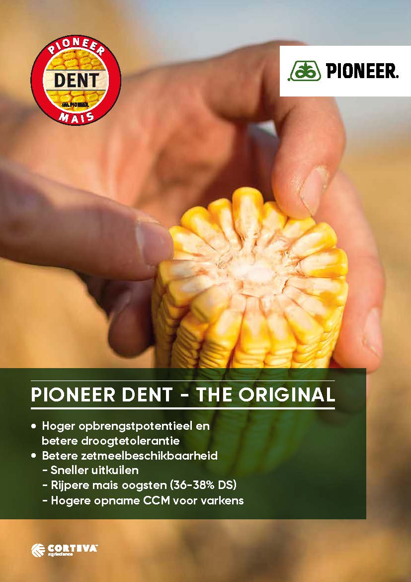 Pioneer Brochure BE 2023