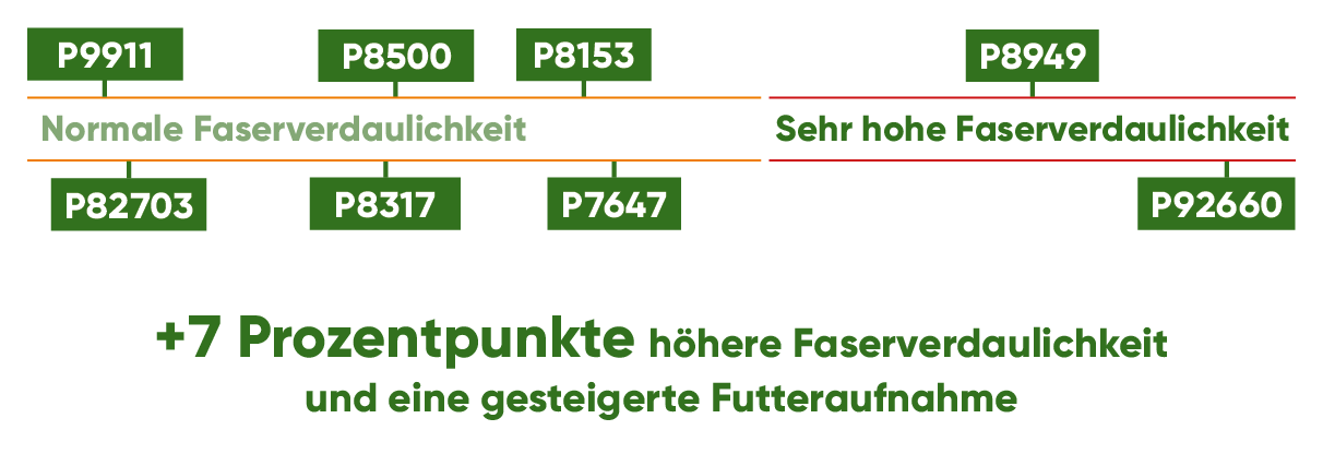 Faserverdaulichkeit