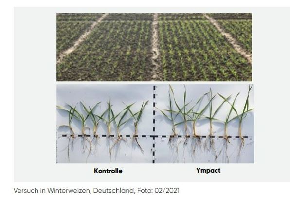 Absicherung von Ertrag und Qualität
