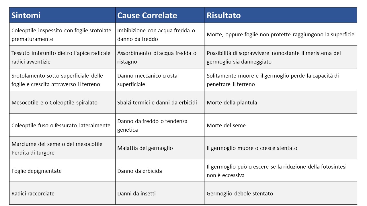 Tabella 2. Plantule di mais con sintomi e relative cause