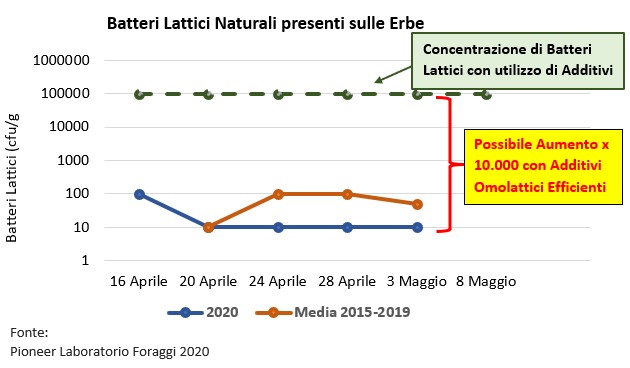 Grafico del numero di batteri lattici