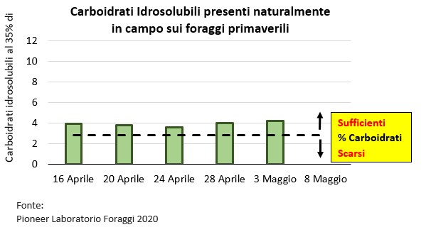 Grafico del numero di batteri lattici