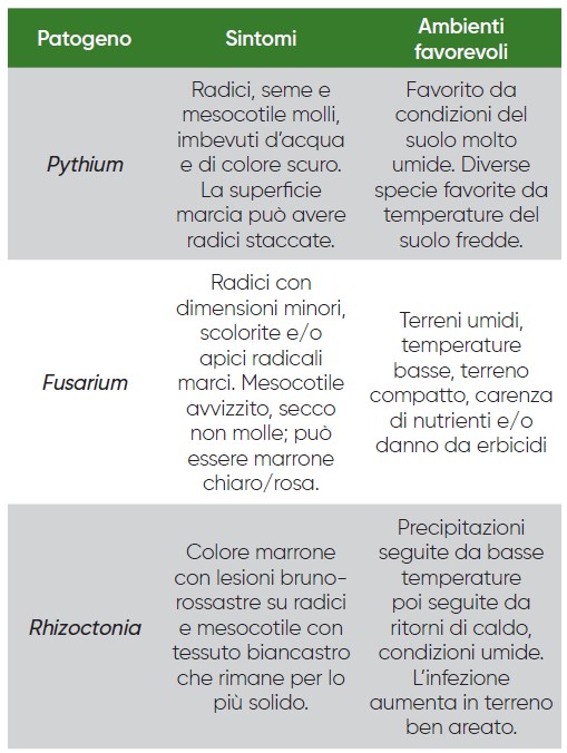 tabella con i sintomi e le condizioni ambientali che favoriscono alcuni dei principali funghi patogeni delle plantule di mais