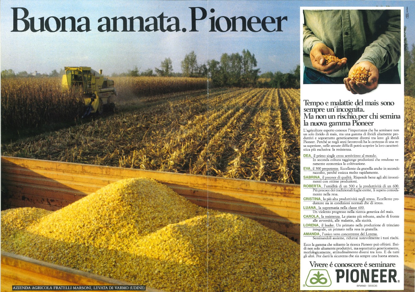Pubblicità dei primi ibridi di mais introdotti da Pioneer in Italia a partire dal 1984