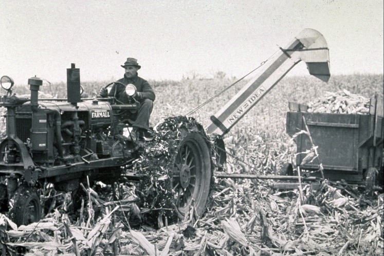Raccolta del mais con una mietitrice trainata dal trattore negli anni '50