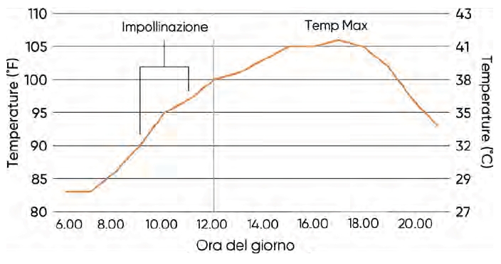 Andamento della temperatura durante il 25 luglio 2012 a Des Moines e momento della massima impollinazione