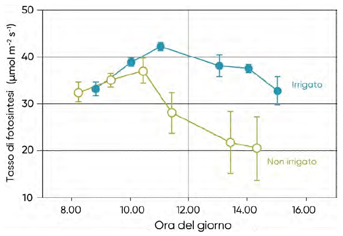 Tasso di fotosintesi fogliare nel mais irrigato e non irrigato in funzione dell'ora del giorno