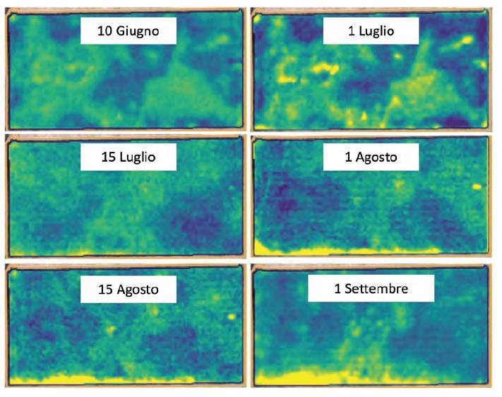 Sequenza di mappe dell'indice di vegetazione