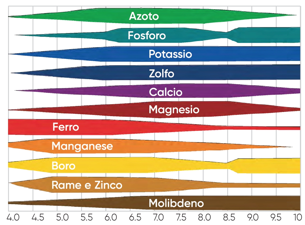 Disponibilità relativa dei nutrienti vegetali in funzione del pH del suolo