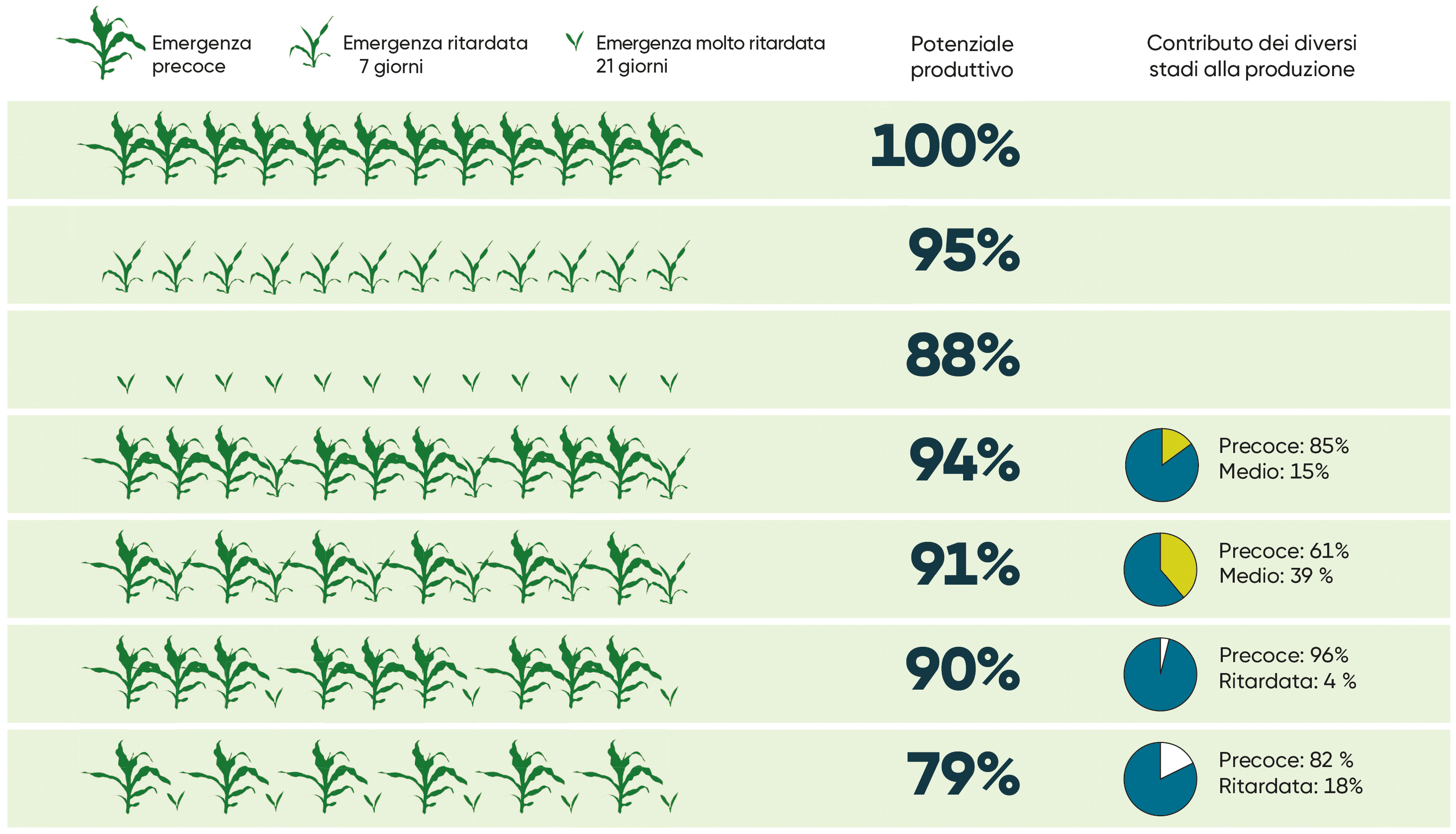 Grafico del potenziale produttivo del mais con emergenza ritardata o irregolare