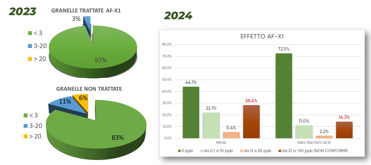 Grafico dei risultati del monitoraggio delle aflatossine negli anni 2023 e 2024