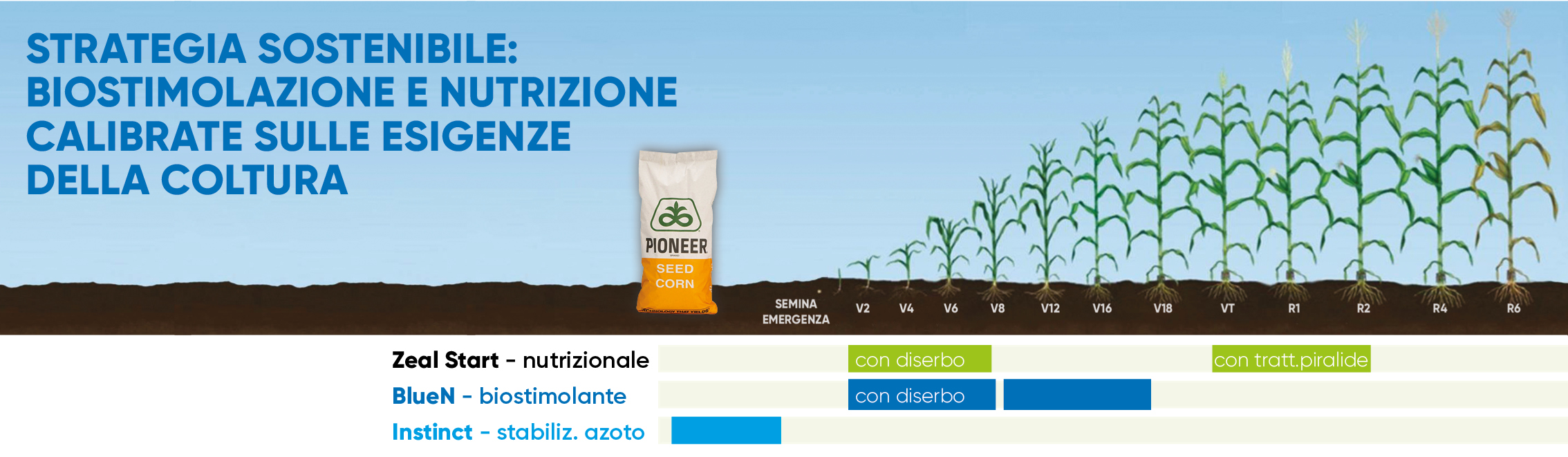 infografica con il posizionamento dei prodotti menzionati nell'articolo