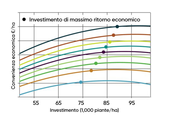 grafico che illustra la correlazione tra investimento e convenienza economica
