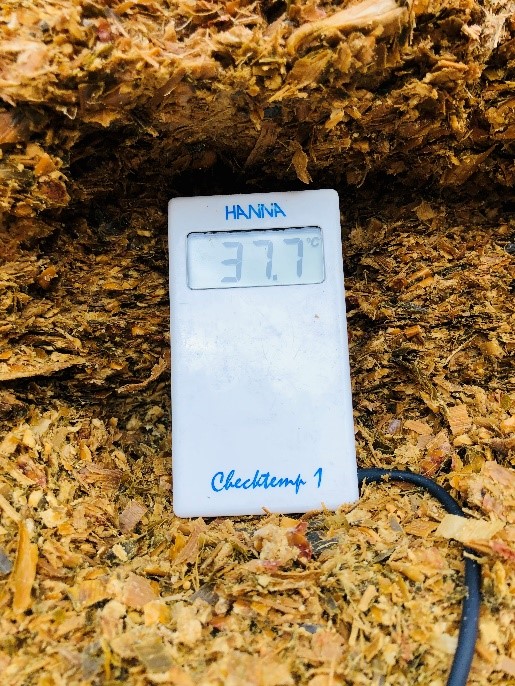 Temperatura rilevata nella zona deteriorata della trincea
